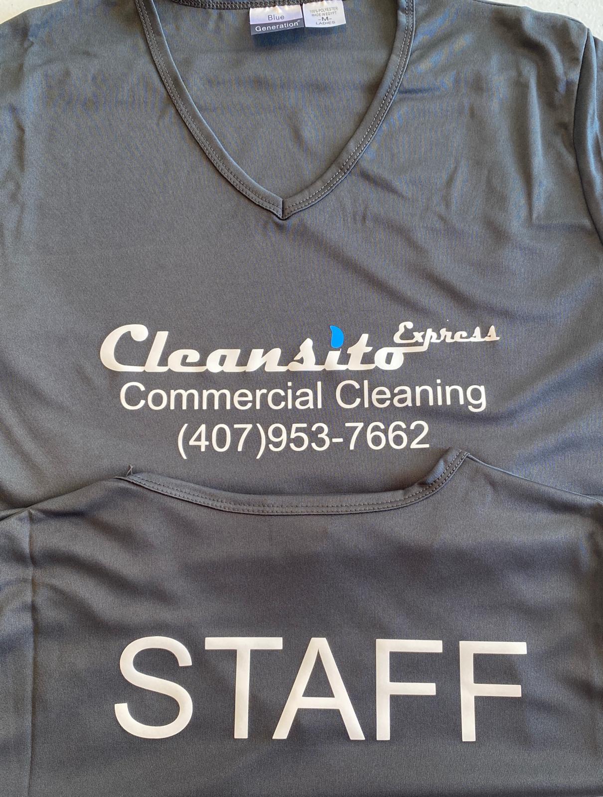 Cleansito Express – Commercial Cleaning Performance V-Neck